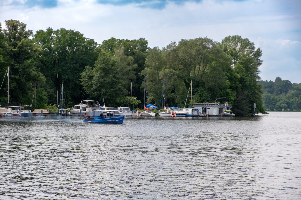 Die Insel Lindwerder vom gegenseitigen Ufer aus gesehen.