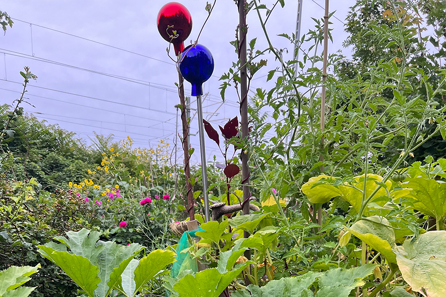 Blüender Garten