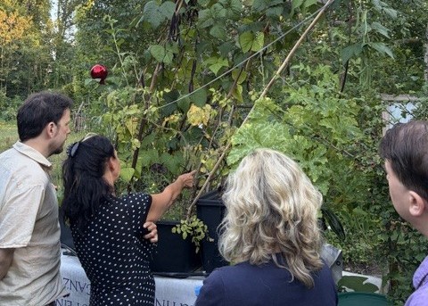 Vier Personen in einem Garten, eine Person erklärt etwas