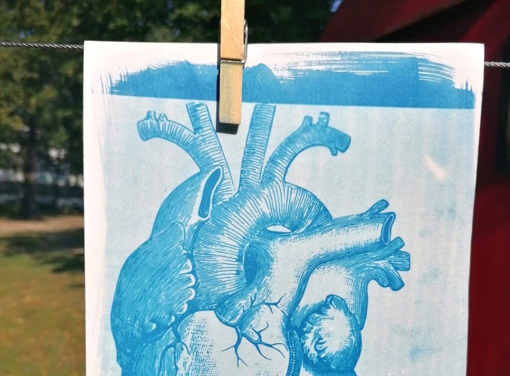 Ein Bild hängt zum Trocknen an einer Wäscheleine. Abgebildet ist ein blaues anatomisches Herz.