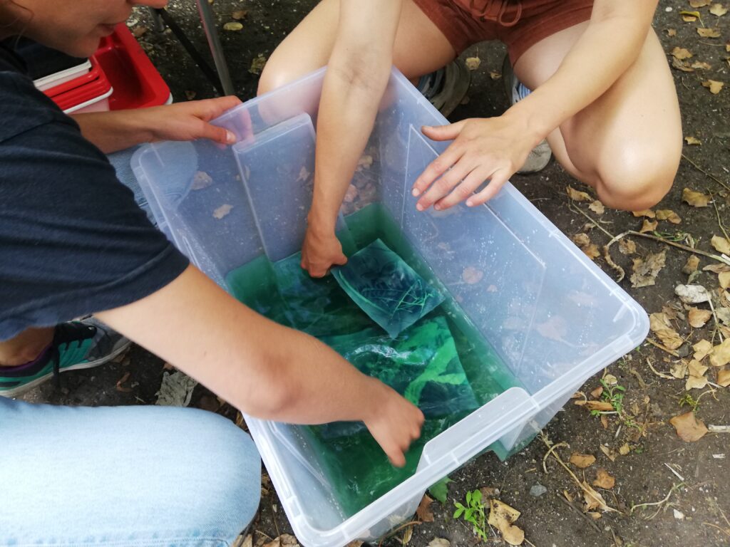 In einem Behälter mit Wasser waschen zwei Personen die Cyanotypien aus.