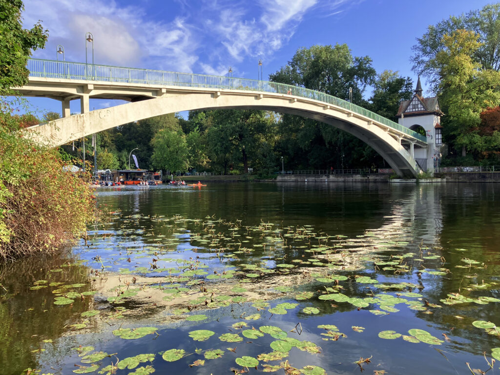 In der Spree paddeln Kanuten, am Ufer wachsen Seerosen.