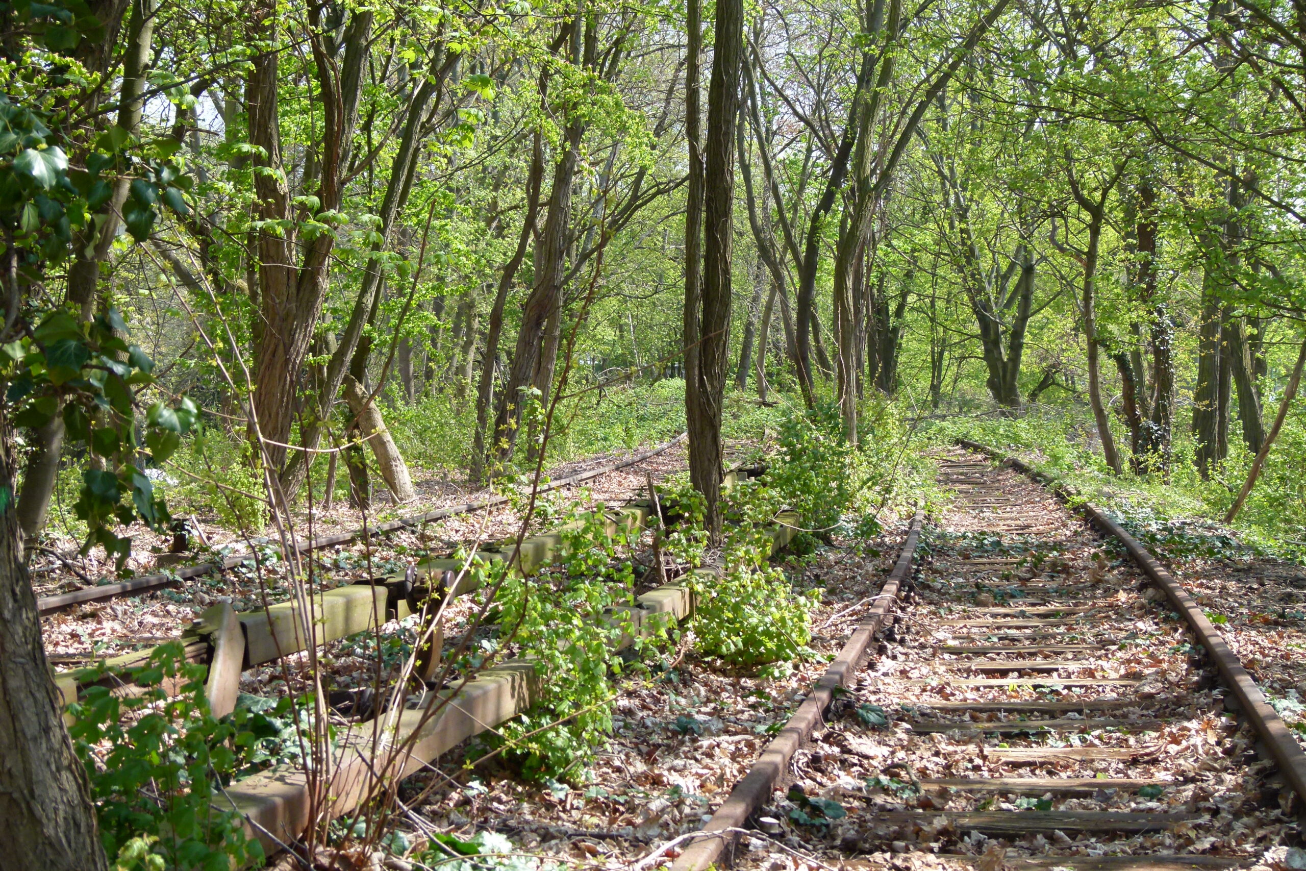 Siemensbahn | © bzi/ Foto: Karsten Feucht, 2021