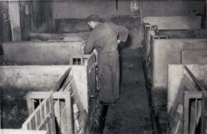 Schweinemästerei in der Transformatorenfabrik