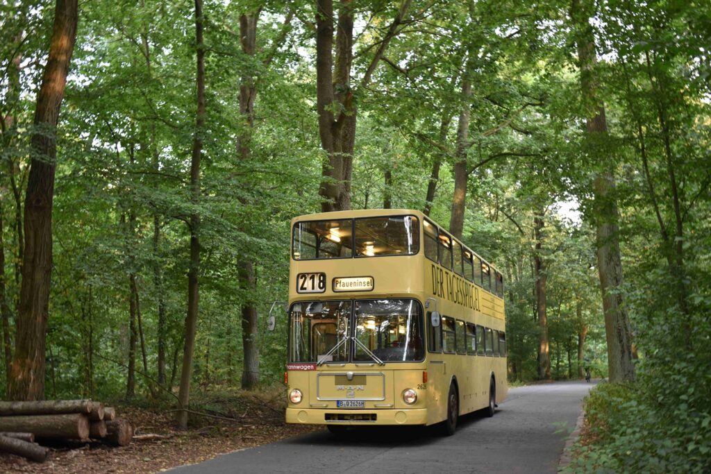 Frontale Aufnahme eines historischen Doppeldecker-Omnibusses, der durch einen Wald fährt.