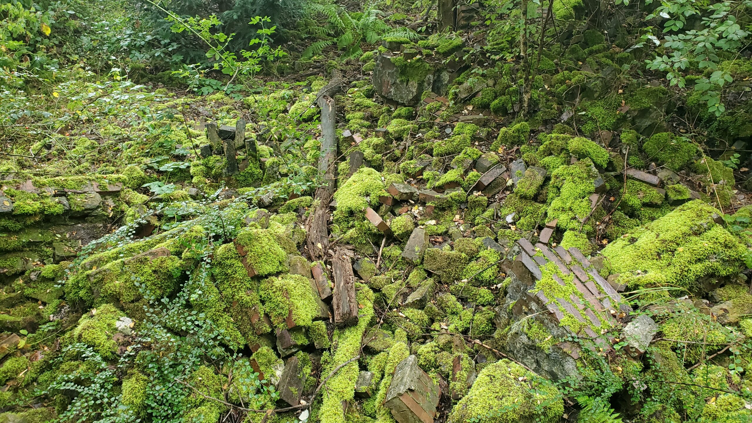 Natur Park Südgelände | bzi/Foto: Nathalie Scholl